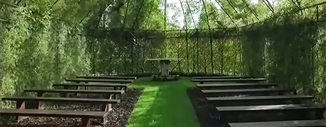 igreja_arvore_editado
