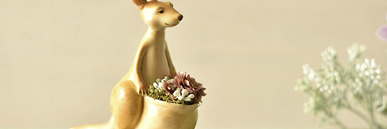 capa do blog